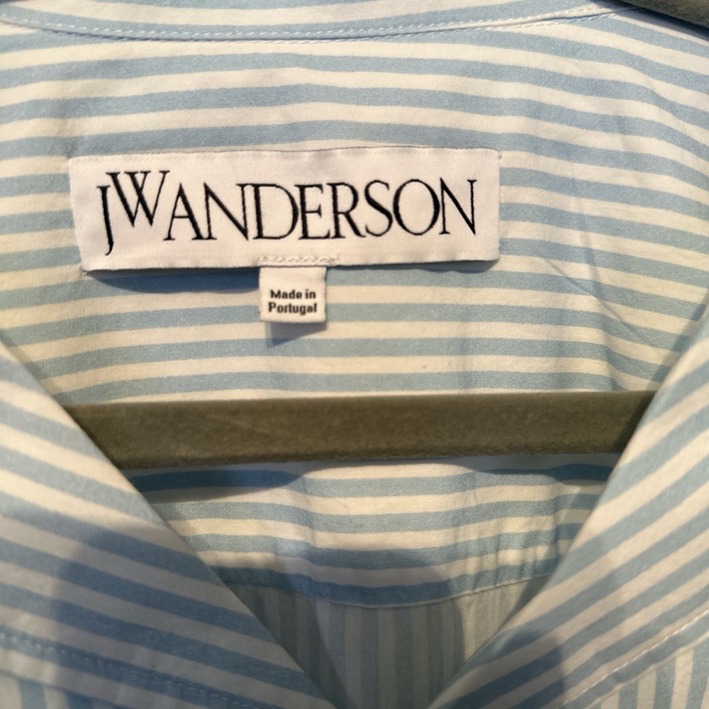 JW Anderson Light Blue Striped Shirt with Grapes Motif - Picture 3 of 4